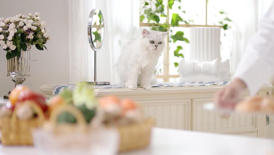 企业宣传片制作初剪和精剪为顾客制做出最高品(图1) 企业宣传片制作