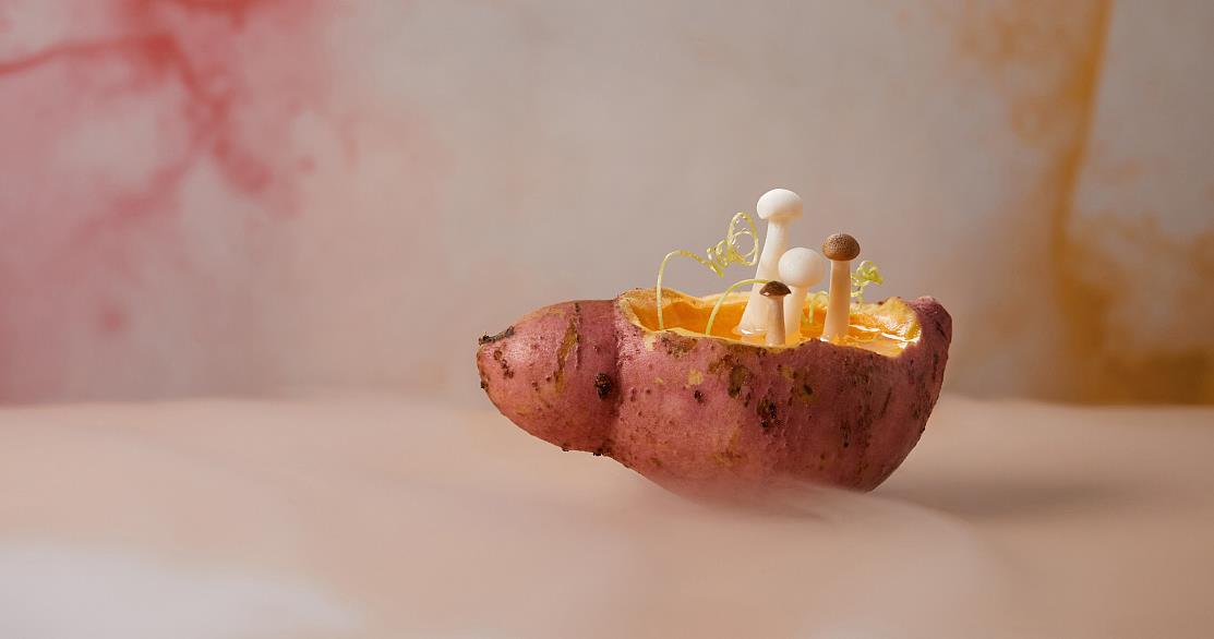 用真实的故事演绎企业宣传片制作的方式至关重(图1) 企业宣传片制作