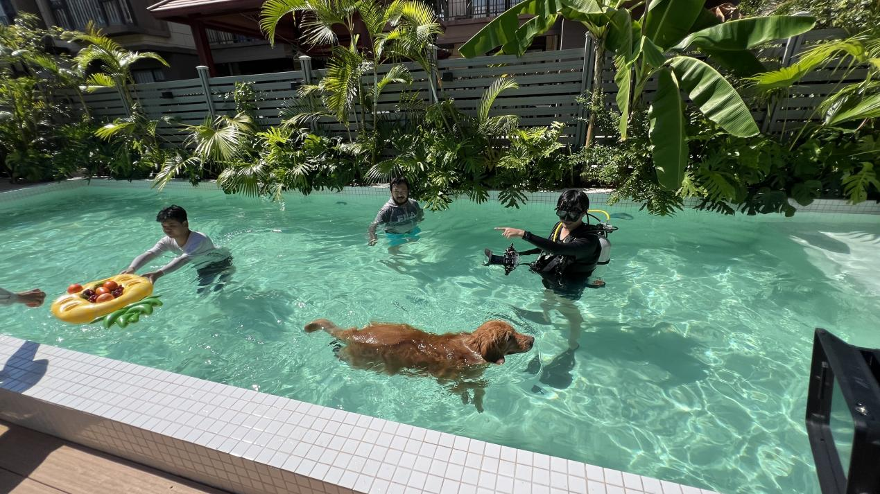 如何通过海外视频捕捉当地独特文化与故事(图1) 如何通过海外视频捕捉当地独特文化与故事(图1)